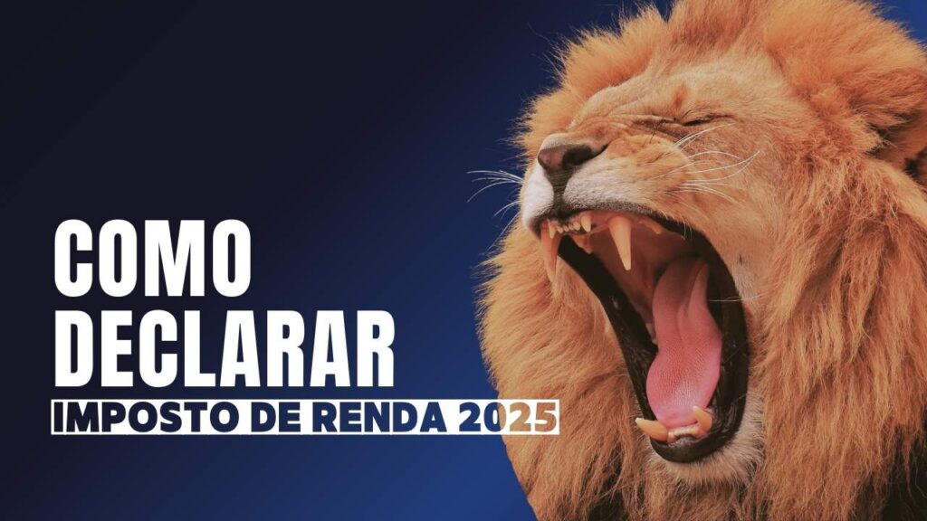 Imagem-17-1024x576 Como Declarar o Imposto de Renda 2025 Sem Erros (Passo a Passo)