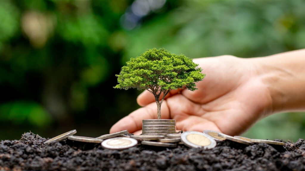 Imagem-21-2-1024x576 Como Investir com Pouco Dinheiro: 5 Opções Seguras para Iniciantes Começarem Hoje.